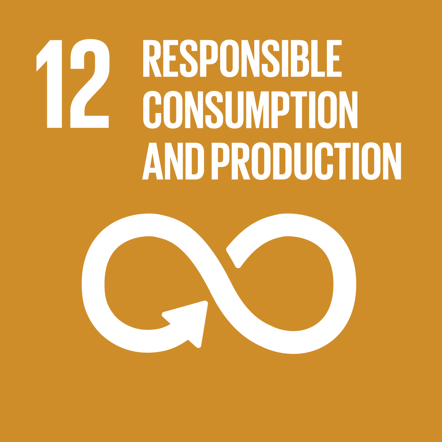 SDG 12: Responsible Consumption & Production UN Sustainable Development Goal 12: Responsible Consumption & Production